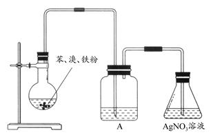 兠兠 第8页