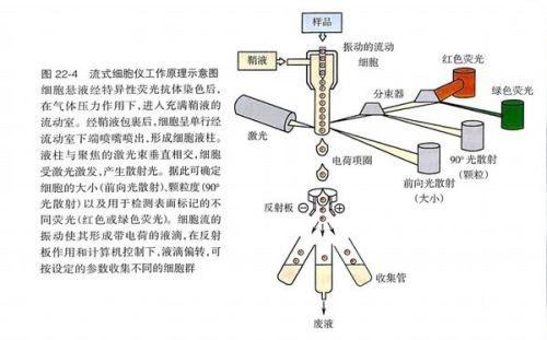 电子光学仪器原理