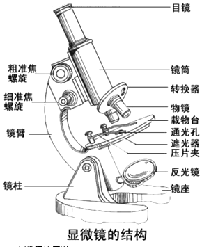 显微镜的镜头分几种如何进行区分