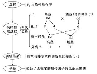 石油焦与智能纺织品材料有关吗