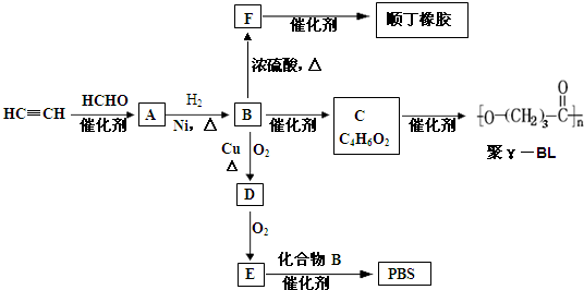 小念 第6页