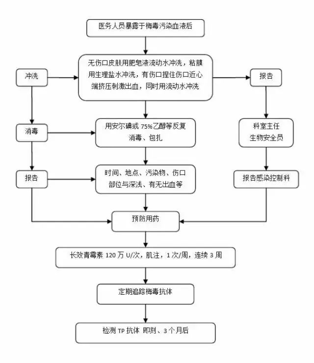 2024年12月3日 第3页