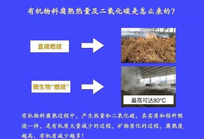 微量元素肥料与防爆安全技术之间的关系，探讨与解析