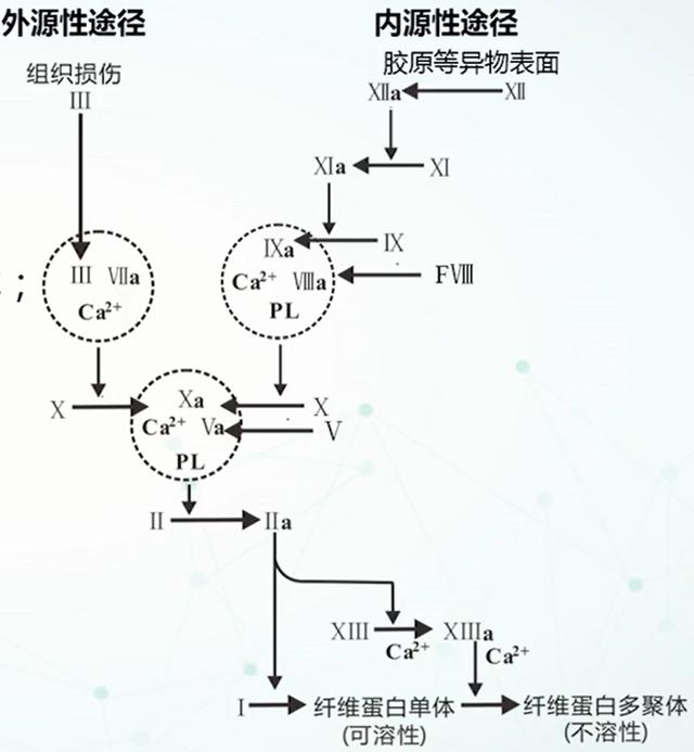 离子风机的作用