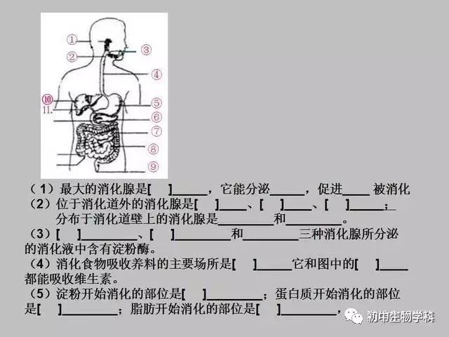 风扇电阻的作用