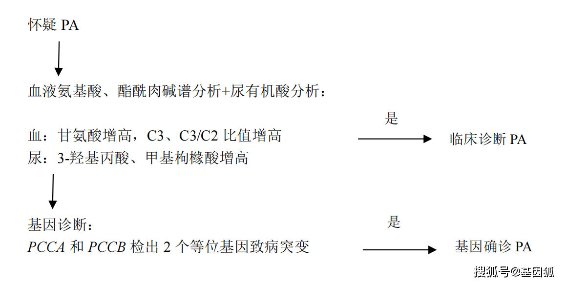 显微镜与硅橡胶的应用领域有哪些