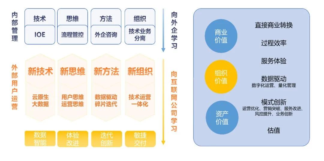 沙狐球比赛计分规则详解,实地数据验证执行_网红版88.79.42