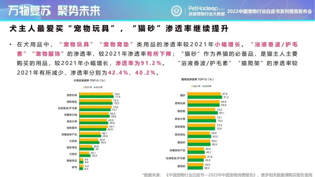 宠物玩具市场需求分析,可靠计划策略执行_限量版36.12.29