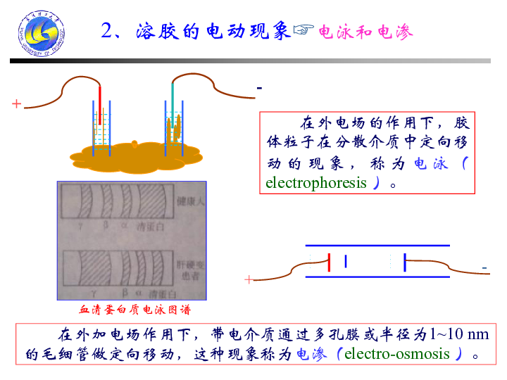 铟与动物胶对溶胶起保护作用吗